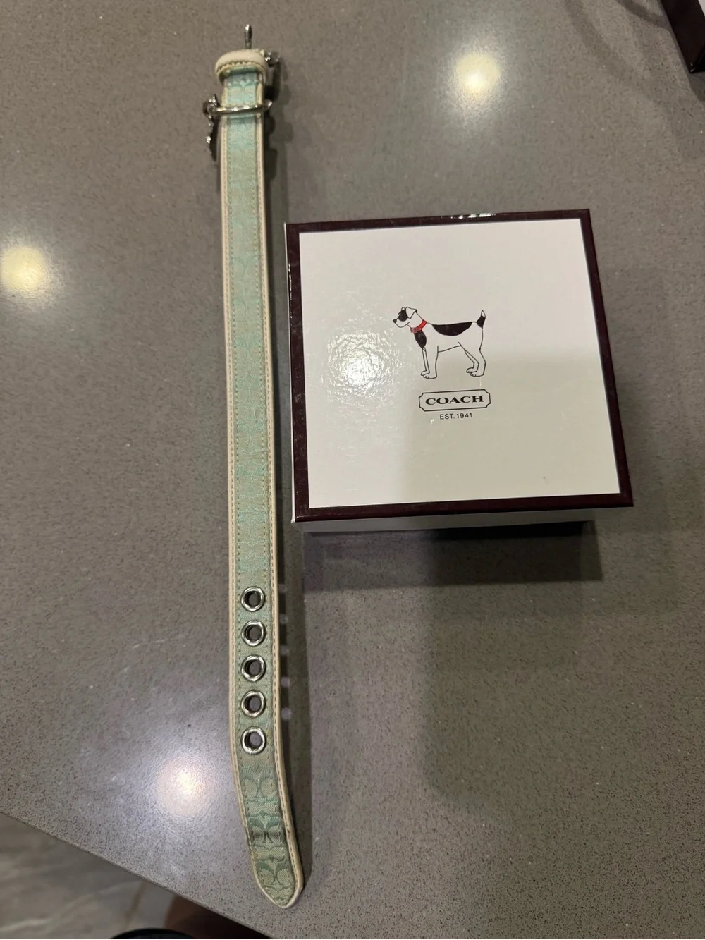 Coach Signature Light Blue Dog Collar size small